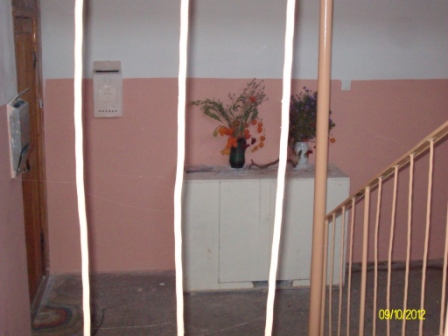   (2)